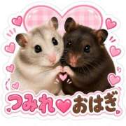 ちはる ハムの可愛さ満点😍❤️ 茨城神栖ちゃんこ
