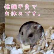 ヒメ日記 2026/09/07 13:35 投稿 ちはる 茨城神栖ちゃんこ