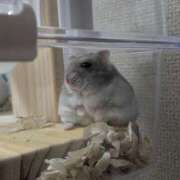 ヒメ日記 2026/09/12 10:03 投稿 ちはる 茨城神栖ちゃんこ