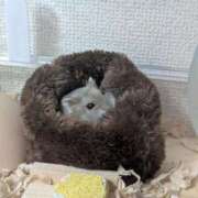ヒメ日記 2026/10/05 10:02 投稿 ちはる 茨城神栖ちゃんこ