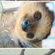 ヒメ日記 2025/02/06 16:25 投稿 いと♪ プリティーガール