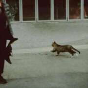 ヒメ日記 2025/03/18 16:25 投稿 いと♪ プリティーガール