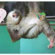 ヒメ日記 2025/04/10 06:25 投稿 いと♪ プリティーガール