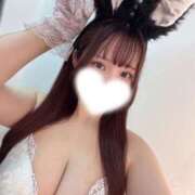 ヒメ日記 2026/06/13 00:21 投稿 リア バニーコレクション秋田店