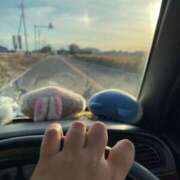 ヒメ日記 2024/12/11 15:27 投稿 もも 茨城神栖ちゃんこ