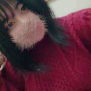 ヒメ日記 2024/12/21 00:07 投稿 もも 茨城神栖ちゃんこ