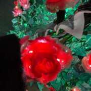 ヒメ日記 2025/02/12 07:30 投稿 もも 茨城神栖ちゃんこ