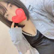 ヒメ日記 2025/06/14 15:20 投稿 もも 茨城神栖ちゃんこ