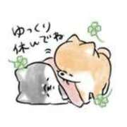 ヒメ日記 2025/07/08 20:03 投稿 もも 茨城神栖ちゃんこ