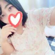 ヒメ日記 2025/07/27 13:30 投稿 もも 茨城神栖ちゃんこ