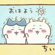 ヒメ日記 2025/10/16 09:43 投稿 もも 茨城神栖ちゃんこ