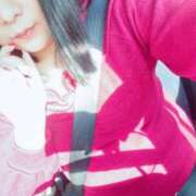 ヒメ日記 2025/11/12 12:55 投稿 もも 茨城神栖ちゃんこ