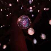 ヒメ日記 2025/11/13 10:48 投稿 もも 茨城神栖ちゃんこ