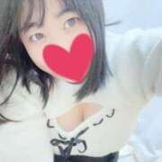 ヒメ日記 2025/11/13 16:39 投稿 もも 茨城神栖ちゃんこ