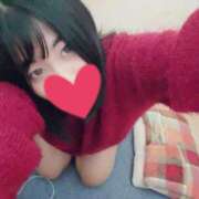 ヒメ日記 2025/11/29 19:00 投稿 もも 茨城神栖ちゃんこ