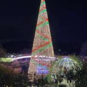 ヒメ日記 2025/12/22 12:29 投稿 もも 茨城神栖ちゃんこ