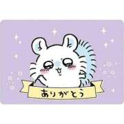 ヒメ日記 2026/07/19 17:00 投稿 もも 茨城神栖ちゃんこ