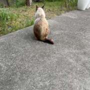 もも 残り1枠🫶 茨城神栖ちゃんこ