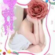 ヒメ日記 2024/12/20 10:18 投稿 美沢 モアグループ大宮人妻花壇