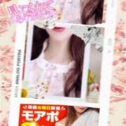 ヒメ日記 2025/02/11 12:20 投稿 美沢 モアグループ大宮人妻花壇