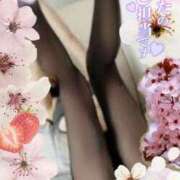 ヒメ日記 2025/03/26 10:18 投稿 美沢 モアグループ大宮人妻花壇