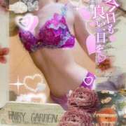 ヒメ日記 2025/03/29 10:18 投稿 美沢 モアグループ大宮人妻花壇