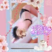 ヒメ日記 2025/04/07 12:18 投稿 美沢 モアグループ大宮人妻花壇