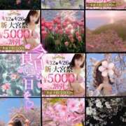 ヒメ日記 2025/04/12 10:18 投稿 美沢 モアグループ大宮人妻花壇