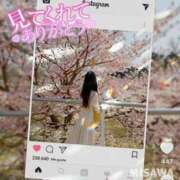 ヒメ日記 2025/04/14 10:18 投稿 美沢 モアグループ大宮人妻花壇