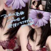 ヒメ日記 2025/09/14 15:21 投稿 美沢 モアグループ大宮人妻花壇