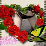 ヒメ日記 2025/11/24 10:18 投稿 美沢 モアグループ大宮人妻花壇