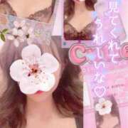 ヒメ日記 2026/04/02 12:48 投稿 美沢 モアグループ大宮人妻花壇