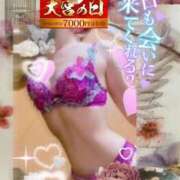 ヒメ日記 2026/08/20 09:18 投稿 美沢 モアグループ大宮人妻花壇