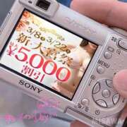 ヒメ日記 2025/03/08 10:33 投稿 美沢 モアグループ春日部人妻城