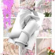 ヒメ日記 2025/04/01 10:18 投稿 美沢 モアグループ春日部人妻城