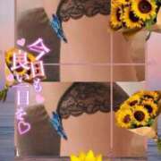 ヒメ日記 2025/07/06 10:21 投稿 美沢 モアグループ春日部人妻城