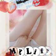 ヒメ日記 2026/01/31 14:33 投稿 美沢 モアグループ春日部人妻城