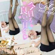 ヒメ日記 2026/06/17 10:21 投稿 美沢 モアグループ春日部人妻城