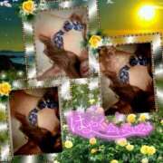 ヒメ日記 2026/07/06 17:07 投稿 美沢 モアグループ春日部人妻城