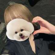 ヒメ日記 2025/04/12 12:47 投稿 あみ【FG系列】 アロマdeフィーリングin横浜（FG系列）