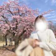 ヒメ日記 2025/04/04 23:54 投稿 Iori LUXURY（ラグジュアリー）