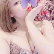 ヒメ日記 2025/08/07 23:17 投稿 有村★ プリマドンナ