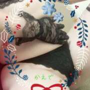 ヒメ日記 2024/12/16 22:41 投稿 かえで 夜這い茶屋 はなれ