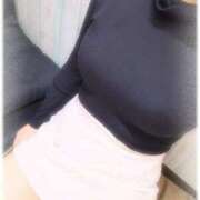 ヒメ日記 2025/11/10 14:23 投稿 こむぎ チェックイン横浜女学園