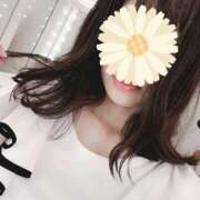 ヒメ日記 2025/07/13 11:35 投稿 ゆい 横浜風俗 横浜いきなりビンビン伝説