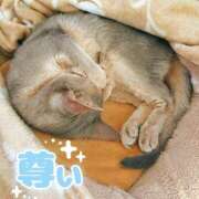 ヒメ日記 2025/10/10 15:36 投稿 ゆい 横浜風俗 横浜いきなりビンビン伝説