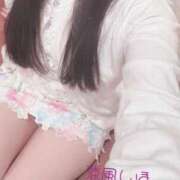 ヒメ日記 2025/02/01 12:24 投稿 涼風　しほ Oasis(薬研堀)