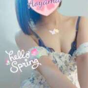 ヒメ日記 2025/04/02 23:06 投稿 青山 ANECOTE