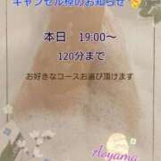 ヒメ日記 2025/04/05 11:20 投稿 青山 ANECOTE