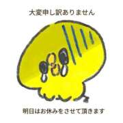 青山 明日お休みさせて頂きます ANECOTE